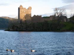 Ducks at Urquhart Castle